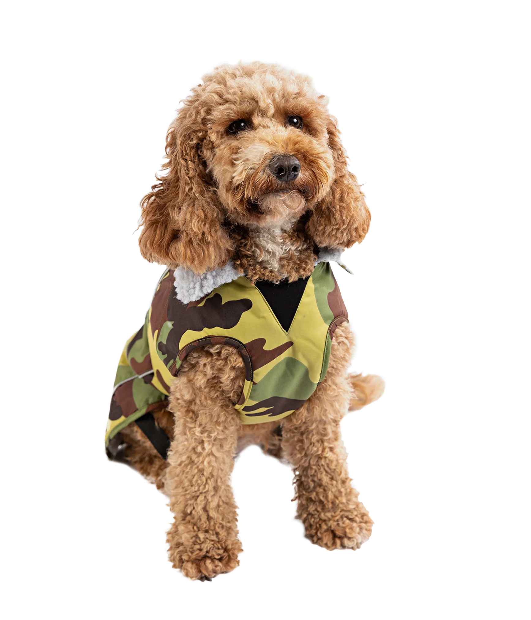 Dryrobe® Pro Cão Casaco