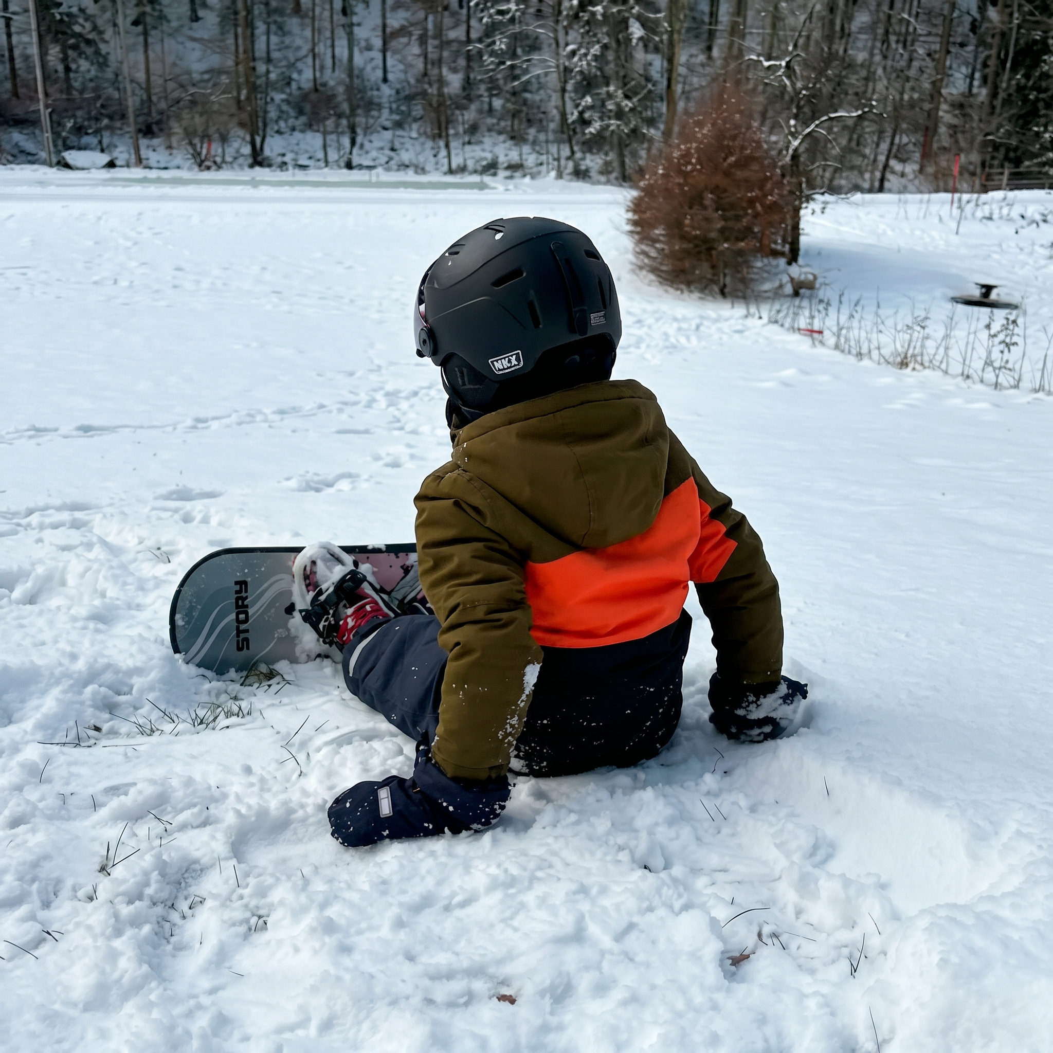 Prancha de Neve Story