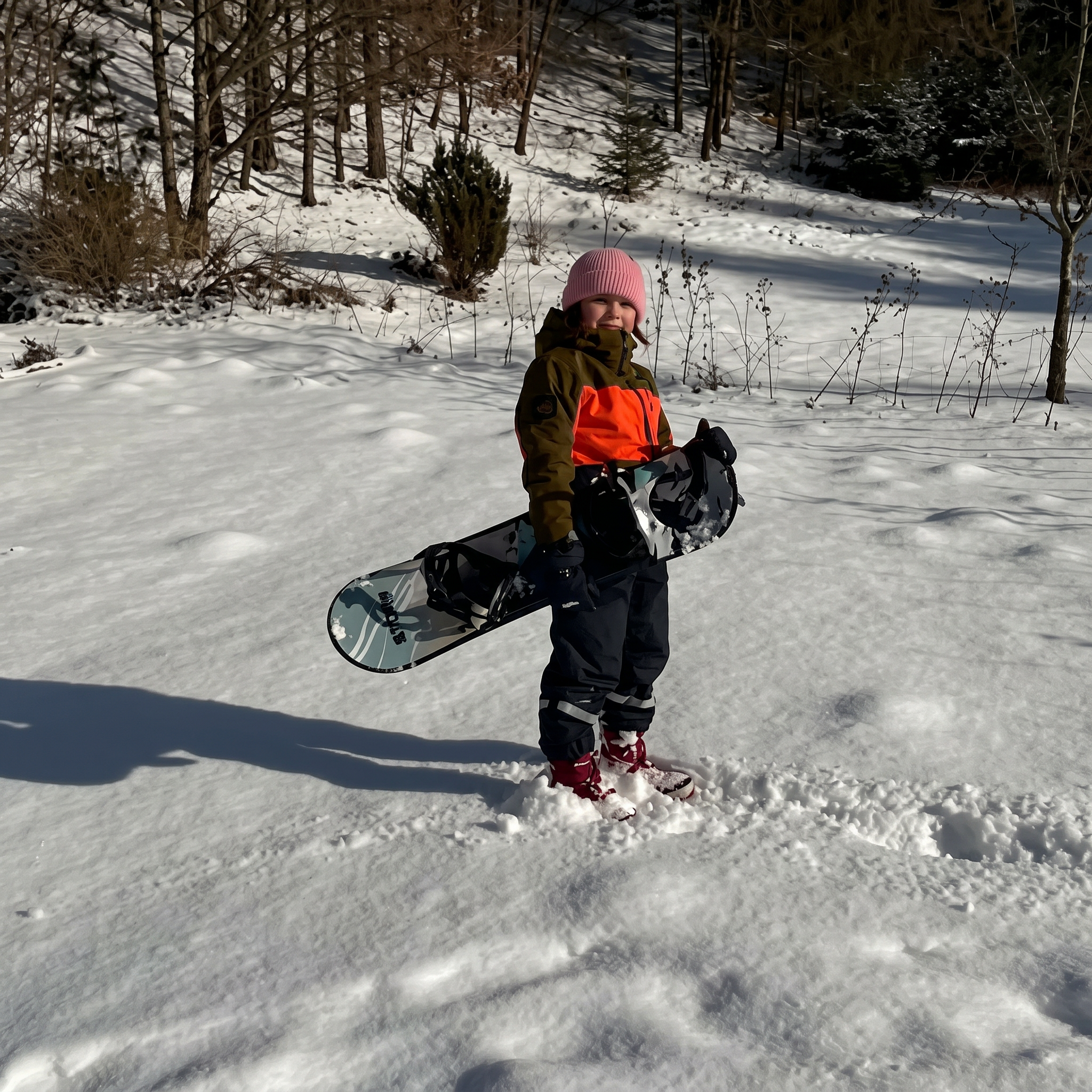 Prancha de Neve Story