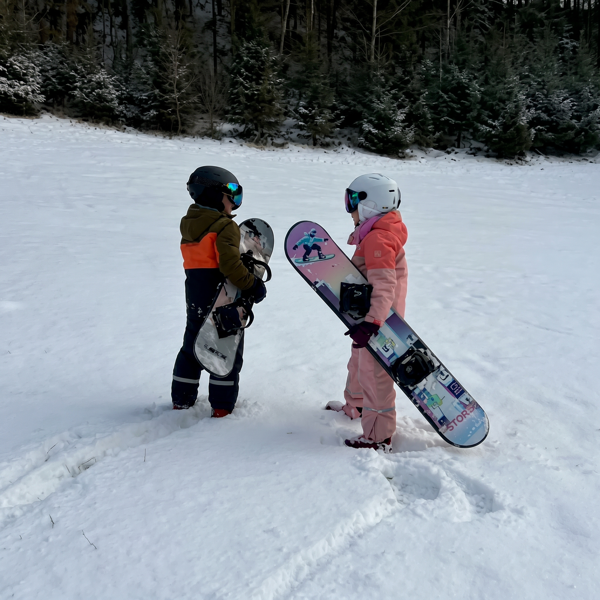 Prancha de Neve Story