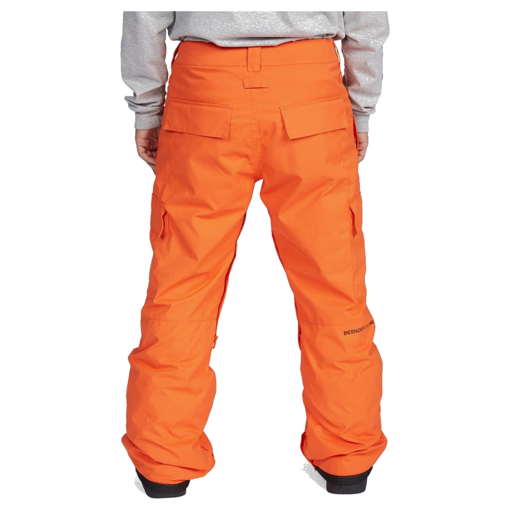 Calças de Ski DC Banshee