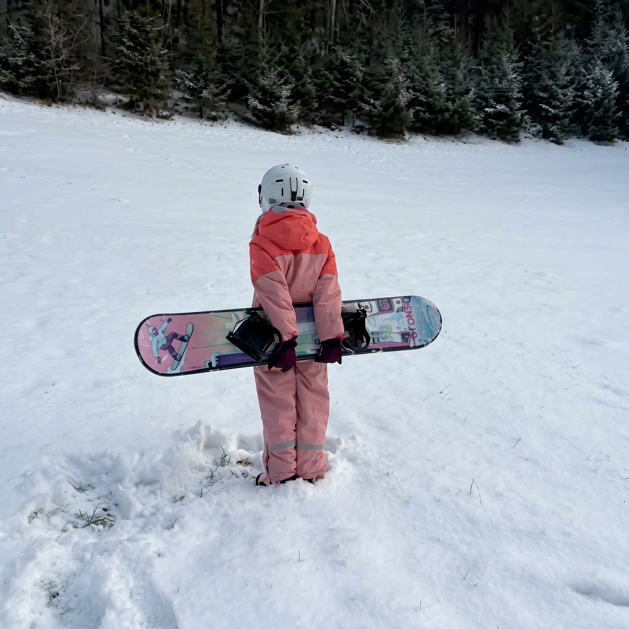 Prancha de Neve Story