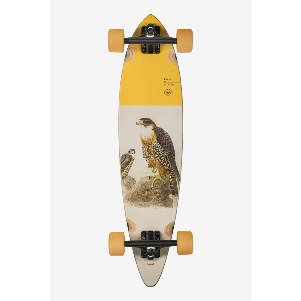 Globe Pintail Falcon Longboard Completo