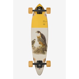 Globe Pintail Falcon Longboard Completo